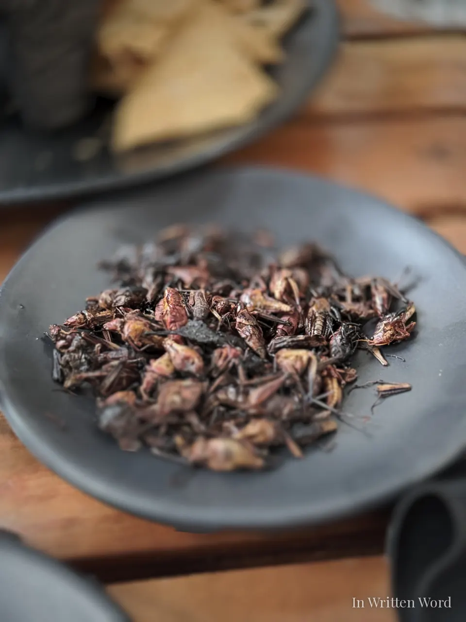 Plate of chapulines, traditional toasted grasshoppers, served in Mexico City.